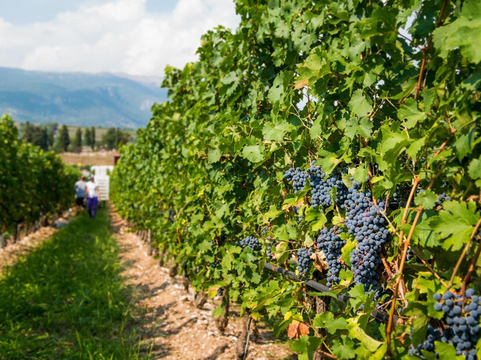 Tenuta La Presa Caprino Veronese Luaran gambar