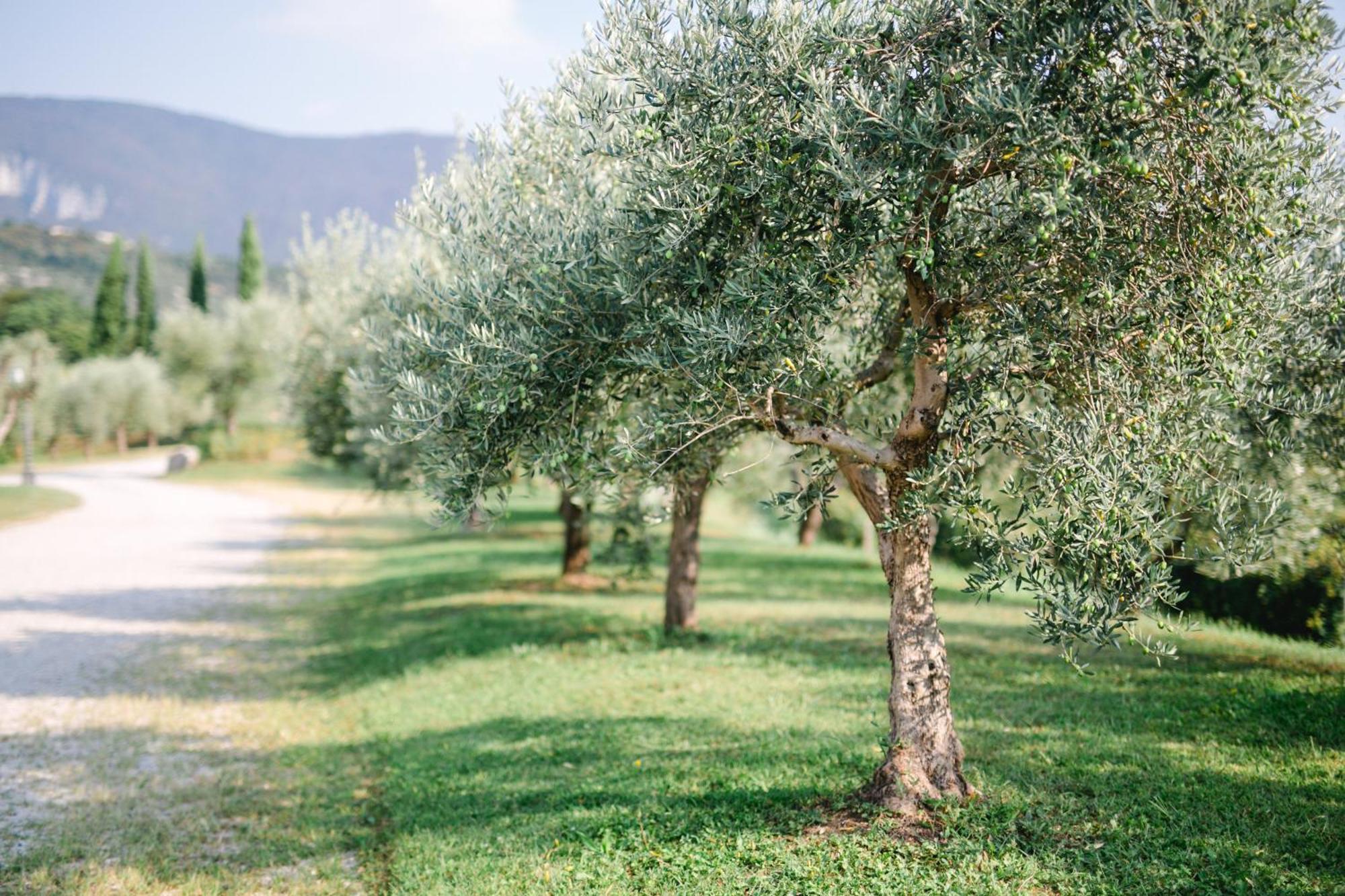 Tenuta La Presa Caprino Veronese Luaran gambar