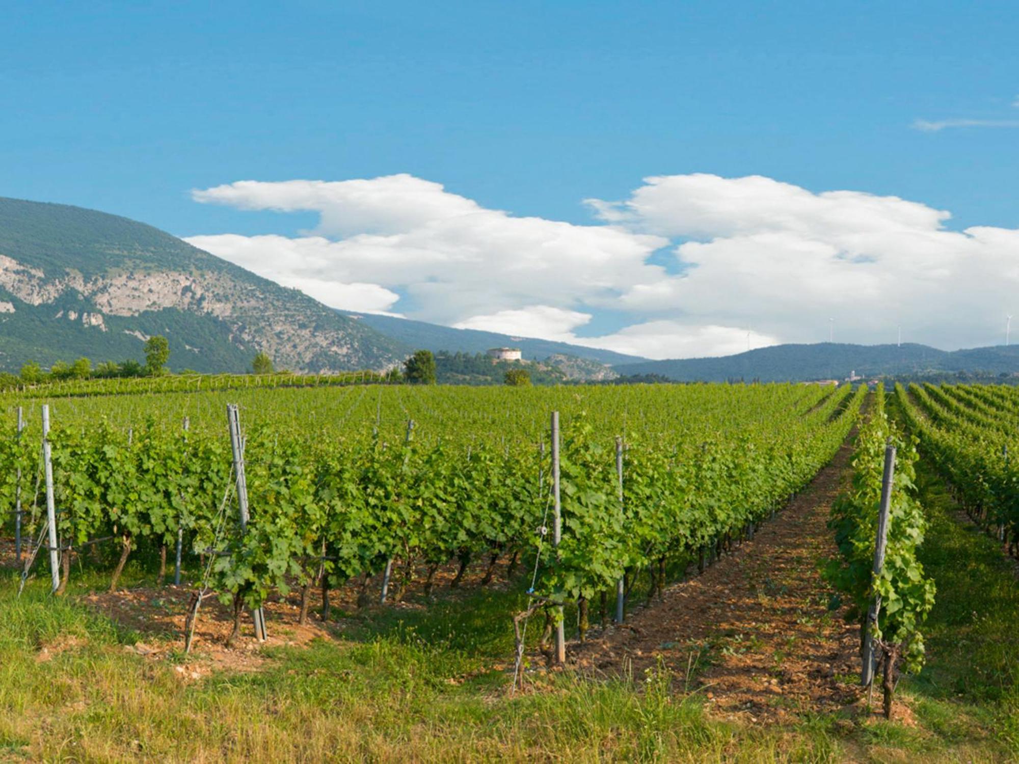 Tenuta La Presa Caprino Veronese Luaran gambar